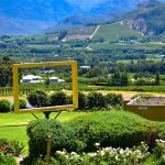 Sydafrika byder på store vinoplevelser