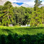 Champagne – vinenes dronning