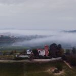 Syre, sødme og fedme: Sådan skaber du harmoni mellem mad og vin